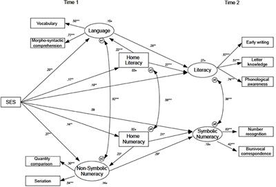 Home Literacy and Numeracy Interact and Mediate the Relationship Between Socio-Economic Status and Early Linguistic and Numeracy Skills in Preschoolers